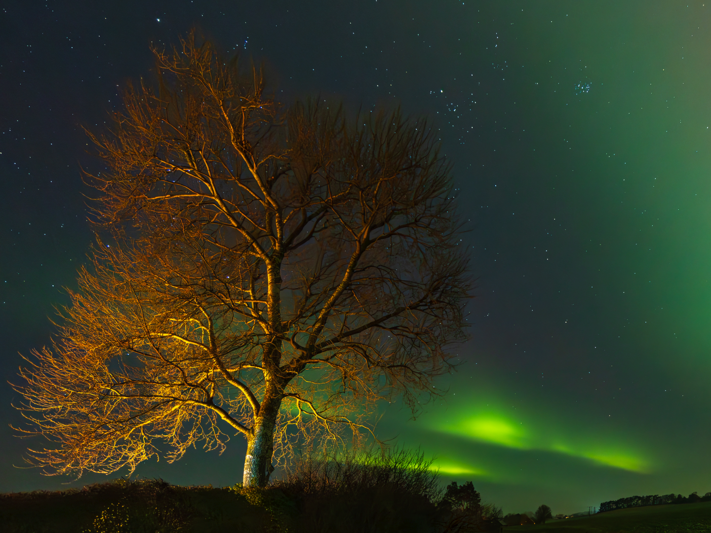 Aurora Borealis I